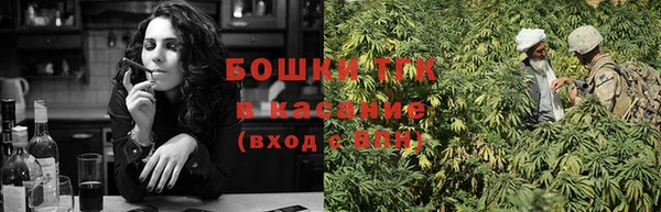 амф Богородск