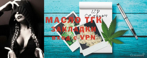 амф Богородск