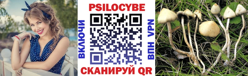 Галлюциногенные грибы Psilocybine cubensis  Купить где  Новоалександровск 